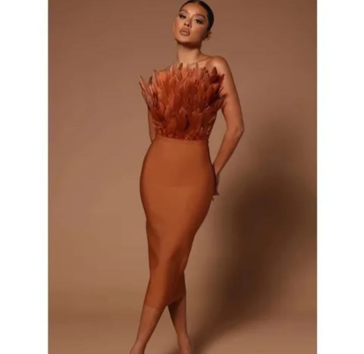 Robe de soirée plumes